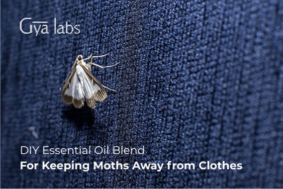 DIY Essential Oil Blend for Keeping Moths Away from Clothes