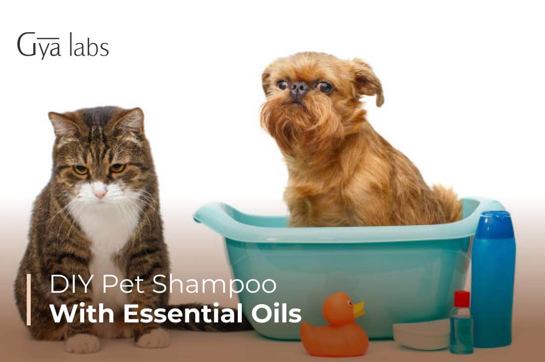 Essential Oils for Natural DIY Pet Shampoos for Sensitive Skin