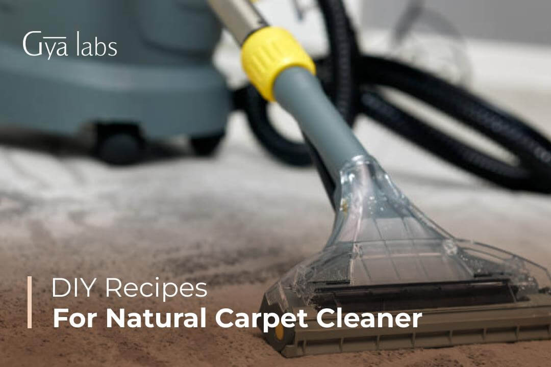 DIY Natural Carpet Cleaner Recipes with Essential Oils