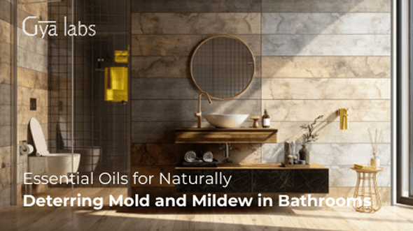 Essential Oils for Naturally Deterring Mold and Mildew in Bathrooms