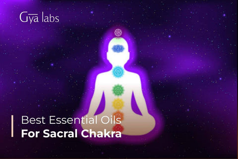 Musk  Sacral Chakra Essential Oil 