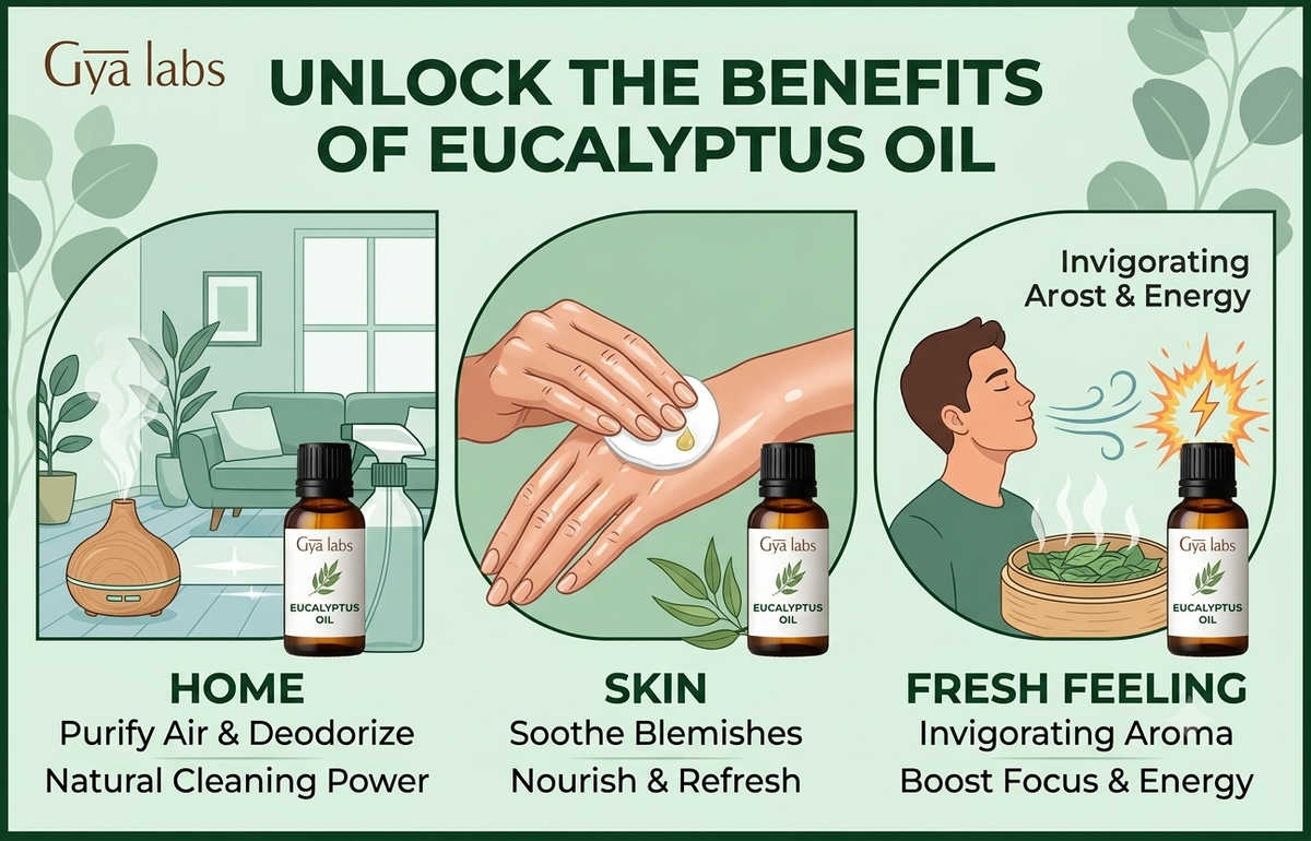 Eucalyptus Oil Benefits for Home, Skin and a Fresh Feeling | GyaLabs