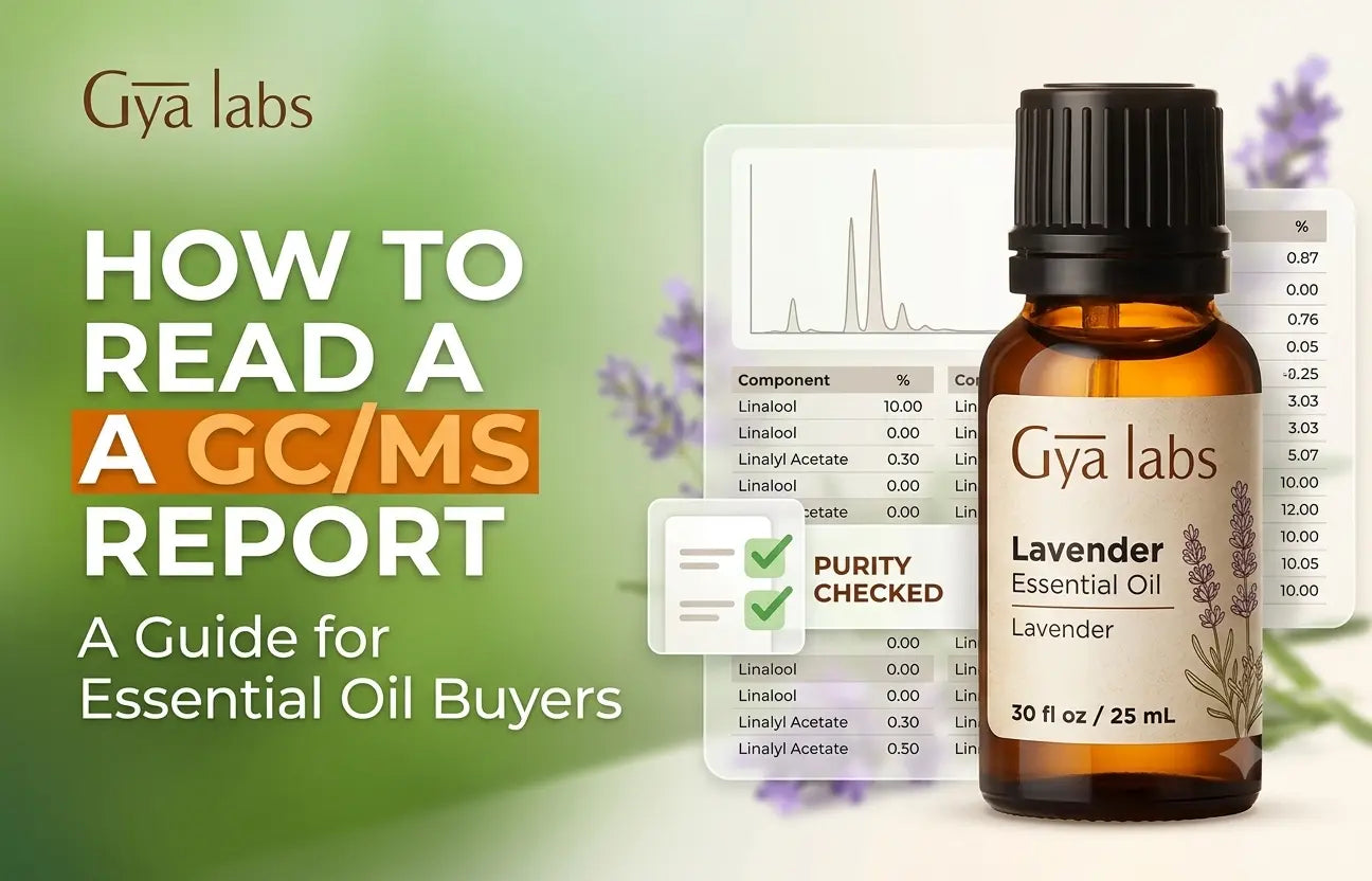 GC/MS Report