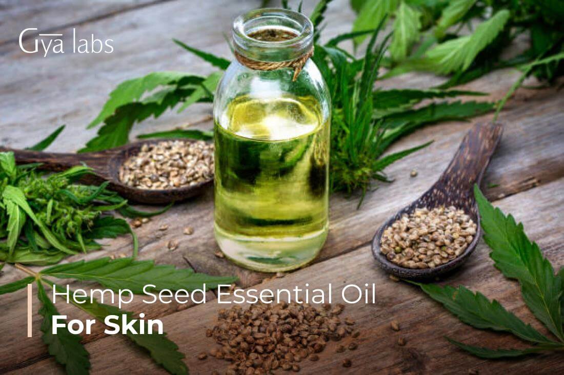 Shop Hemp Seed Carrier Oil, Natural Health Products