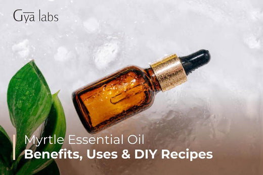 Myrtle Essential Oils