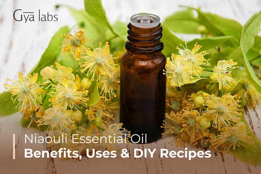 Niaouli Essential Oil