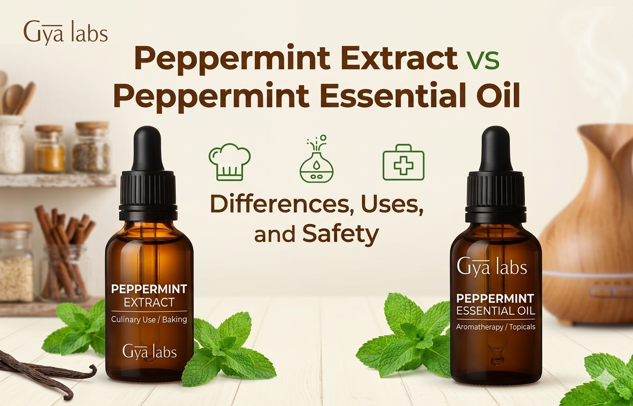 Peppermint Extract vs Peppermint Oil: Uses & Differences