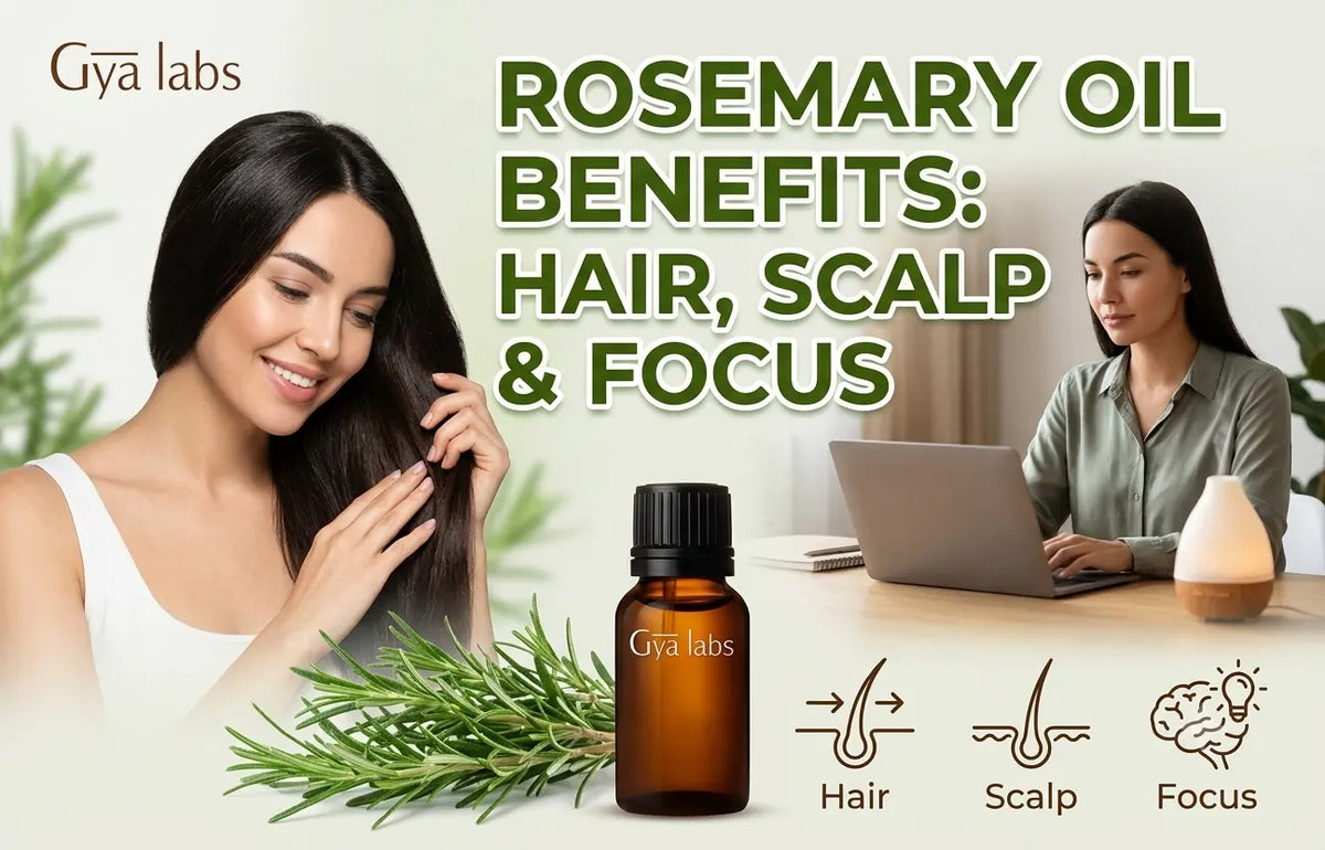 Rosemary Oil Benefits for Hair, Scalp & Focus | GyaLabs