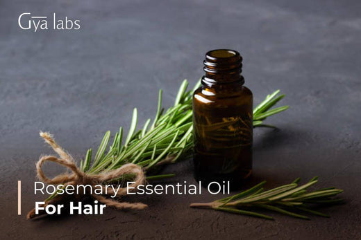 Rosemary Essential Oil for Hair