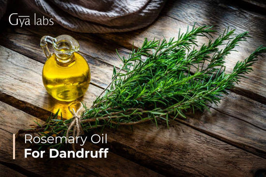 Rosemary Oil for Dandruff