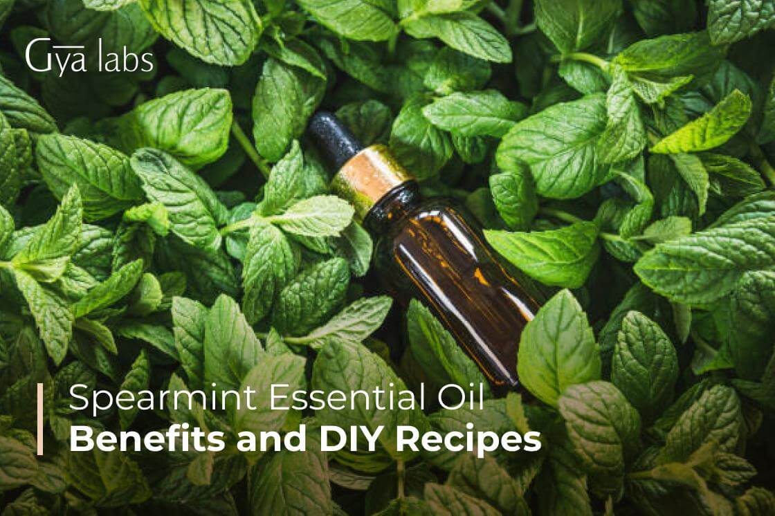 Spearmint Essential Oil Benefits | Ways to Use Spearmint Essential Oil and DIY Recipes