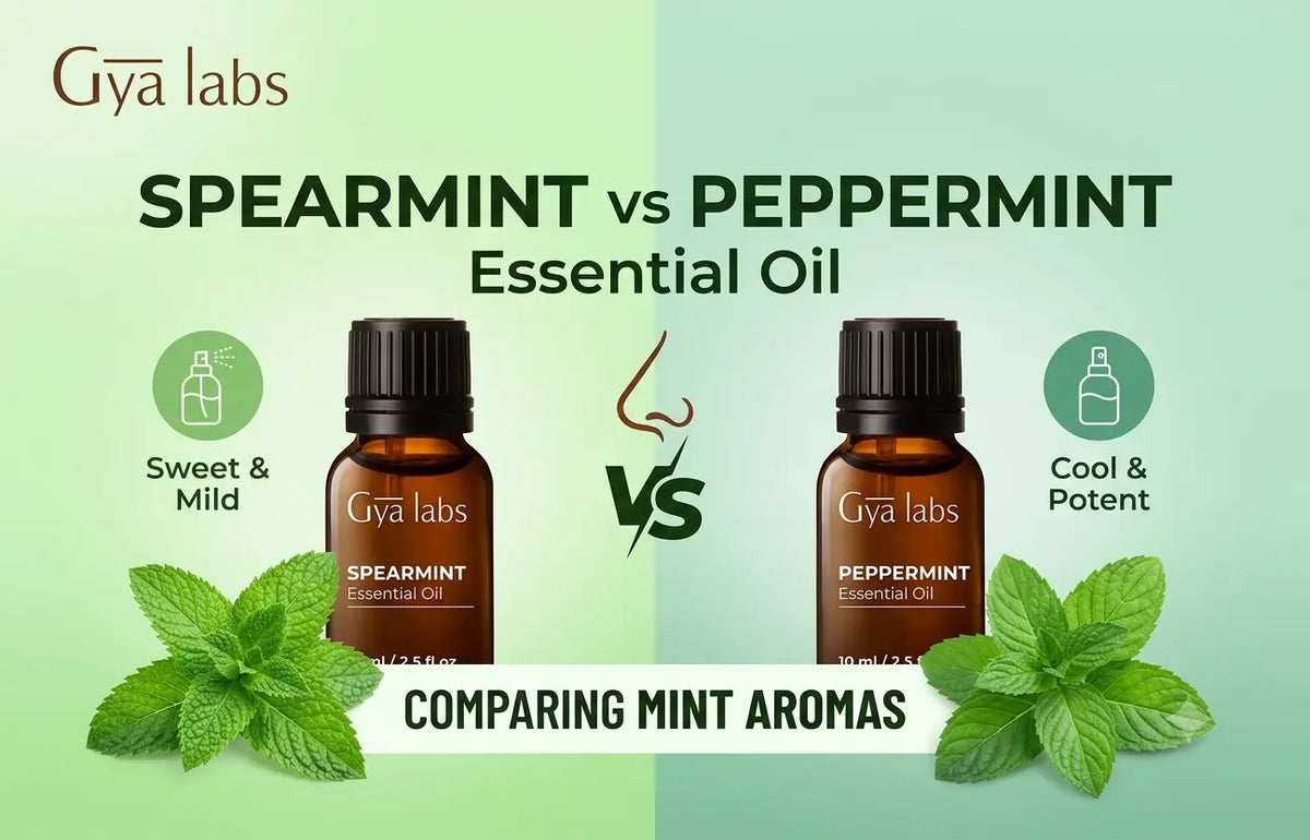 Spearmint vs Peppermint Essential Oil