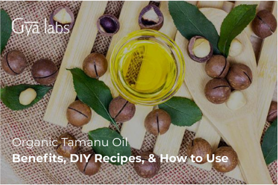 Organic Tamanu Oil: Benefits, DIY Recipes, & How to Use Tamanu Oil