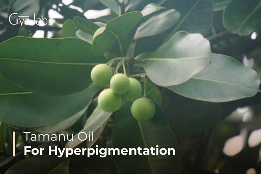 Tamanu Oil for Hyperpigmentation