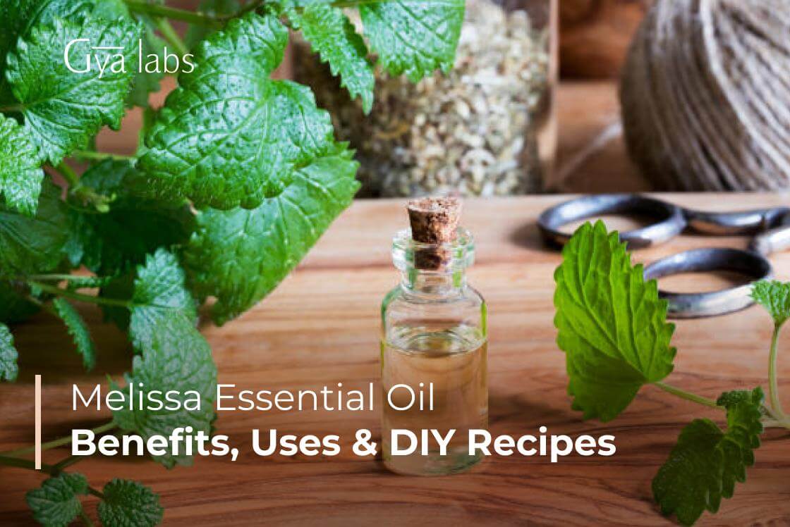 Melissa Essential Oil (Lemon Balm): Uses, Aromatic Benefits & DIY Recipes