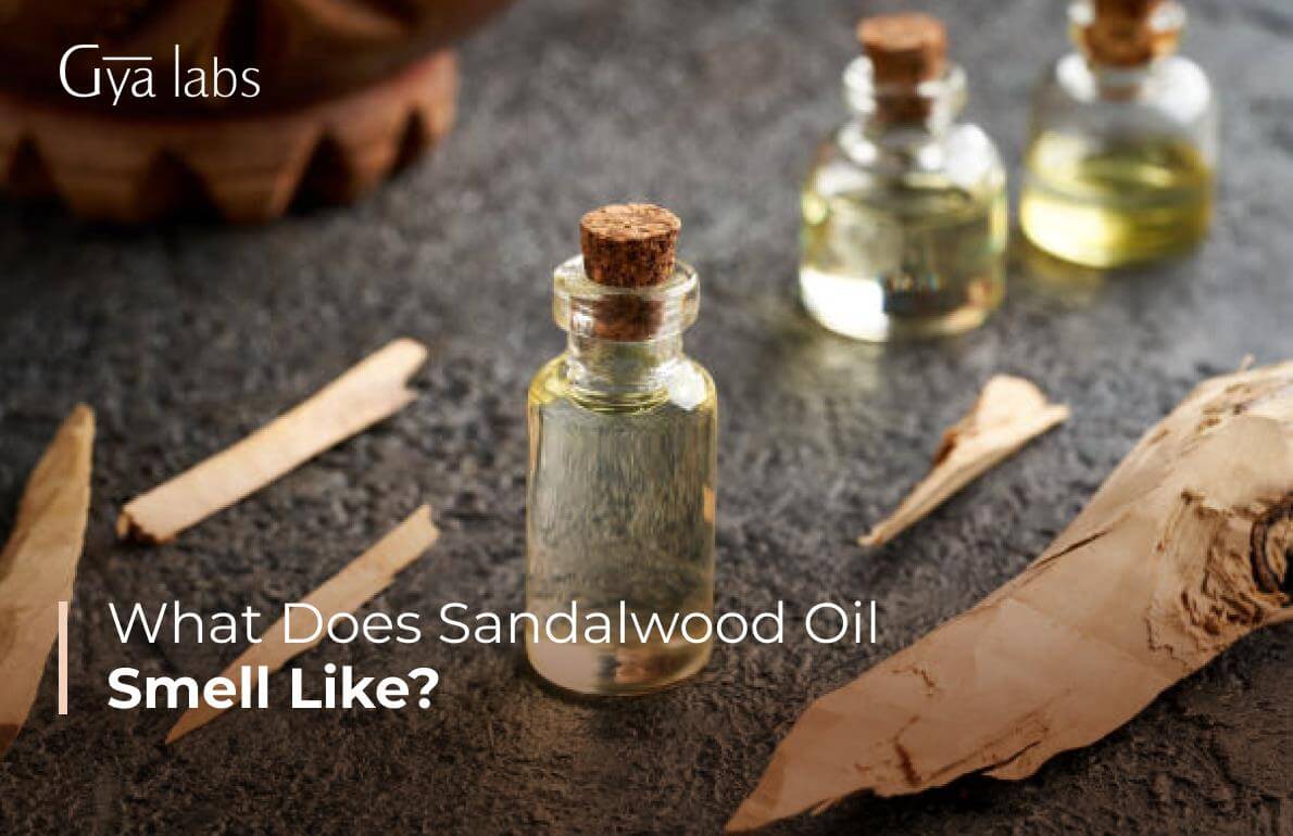 What Does Sandalwood Smell Like? | Scent Profile of Sandalwood Oil | DIY Recipes and Benefits