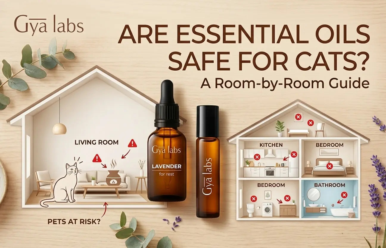 essential oil safe for cats