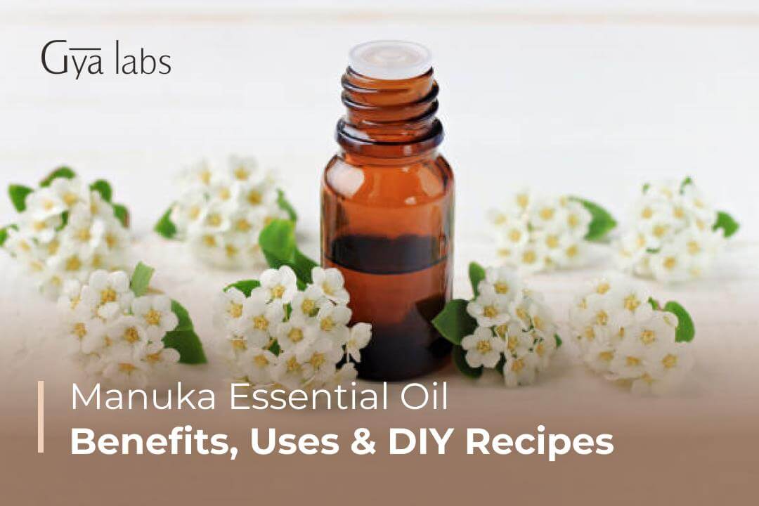 Young Living Manuka Essential Oil - 5ml – Essential Oil Life