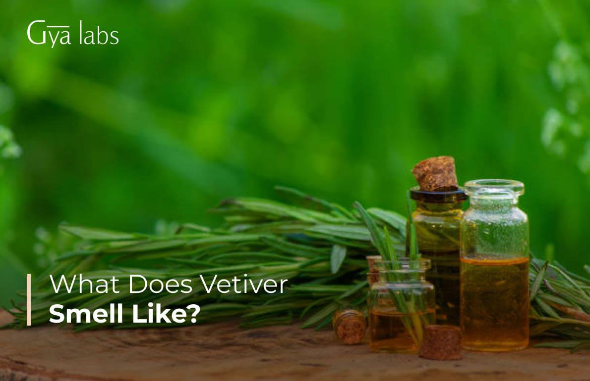 What Does Vetiver Smell Like? A Scent Guide