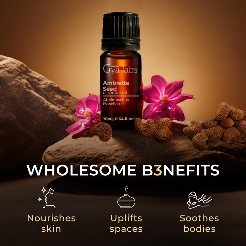 Ambrette Seed Essential Oil 0.34 Fl Oz