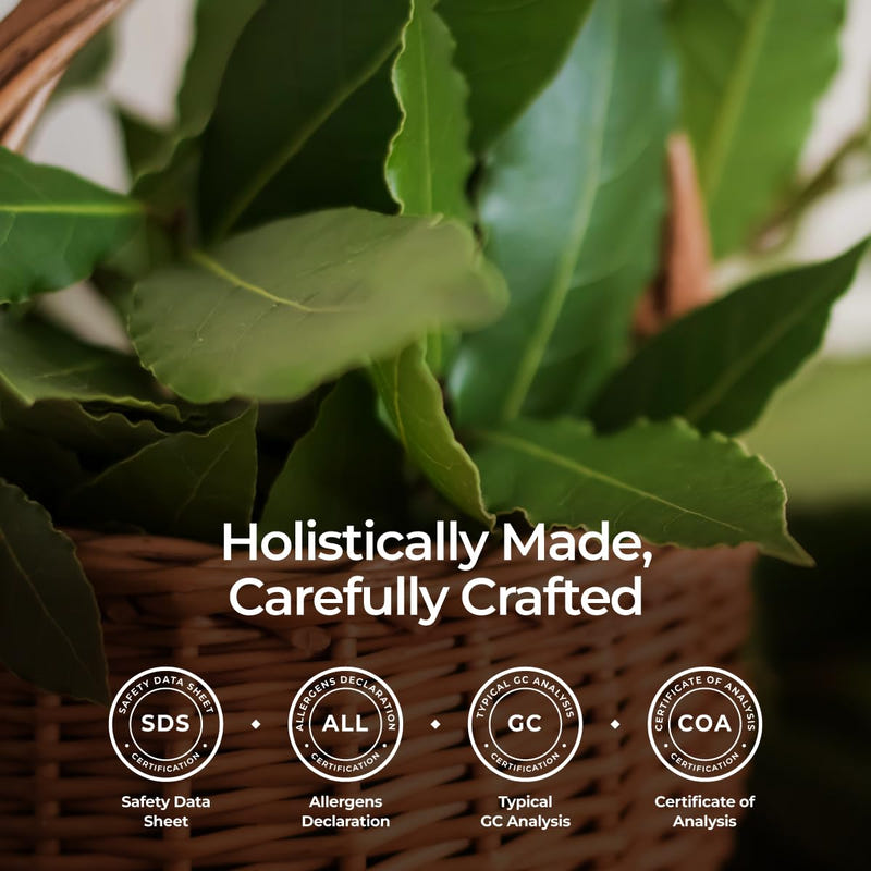 Organic Bay Leaf Essential Oil 0.34 Fl Oz