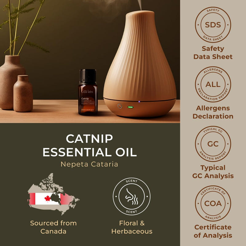 Catnip Essential Oil 0.34 Fl Oz