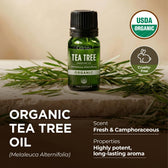 Organic Tea Tree Essential Oil 0.34 Fl Oz