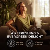 Catnip Essential Oil 0.34 Fl Oz