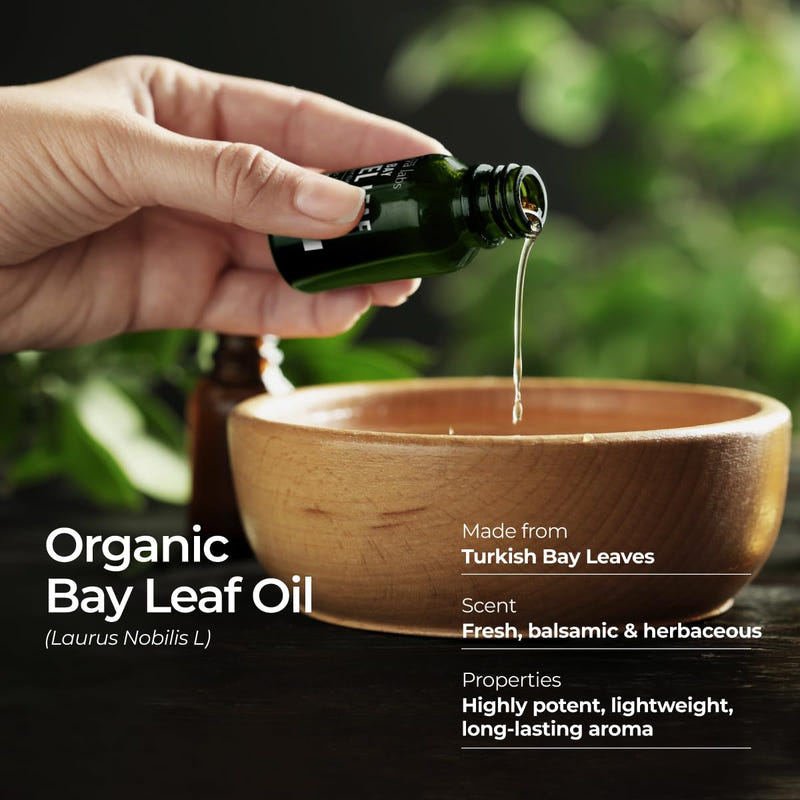 Organic Bay Leaf Essential Oil 0.34 Fl Oz