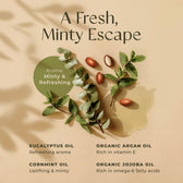 Eucalyptus Mint Massage Oil 6.76 Fl Oz