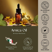 Arnica Carrier Oil 1 Fl Oz