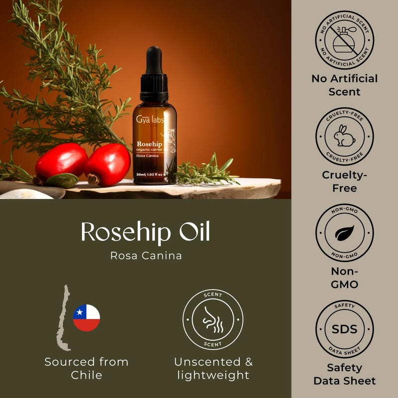 Rosehip Carrier Oil 1 Fl Oz