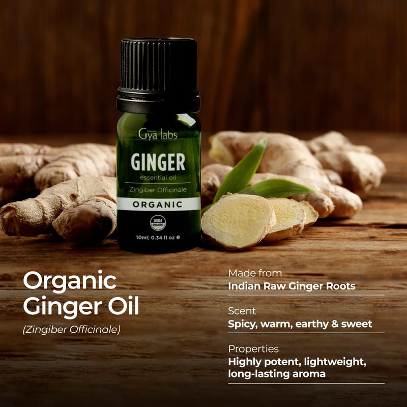 Organic Ginger Essential Oil 0.34 Fl Oz