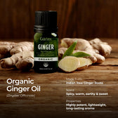 Organic Ginger Essential Oil 0.34 Fl Oz