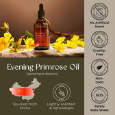 Evening Primrose Carrier Oil 3.4 Fl Oz
