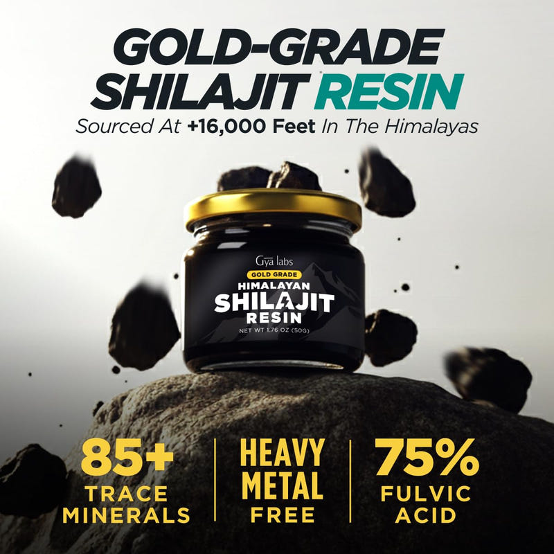 Himalayan Shilajit Resin