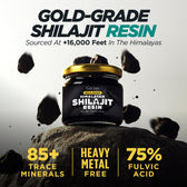 Himalayan Shilajit Resin