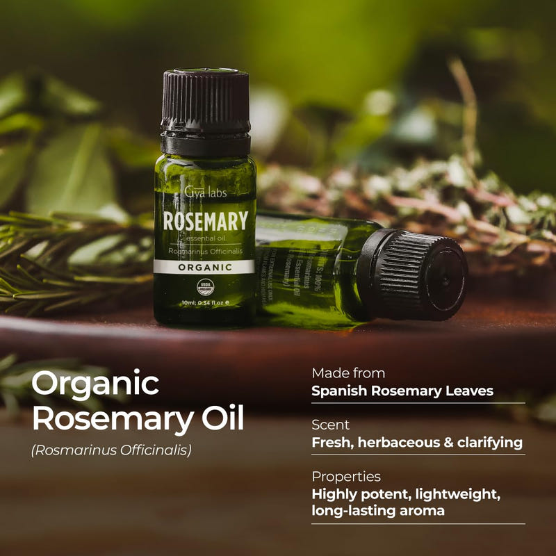 Organic Rosemary Essential Oil 0.34 Fl Oz