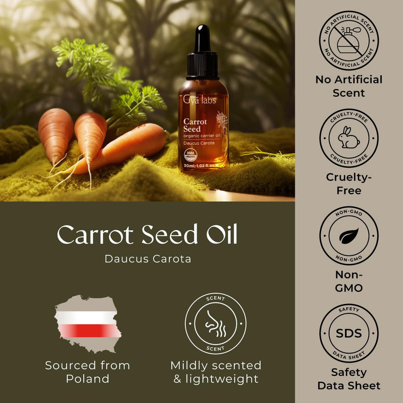 USDA Organic Carrot Seed Oil 1 Fl Oz