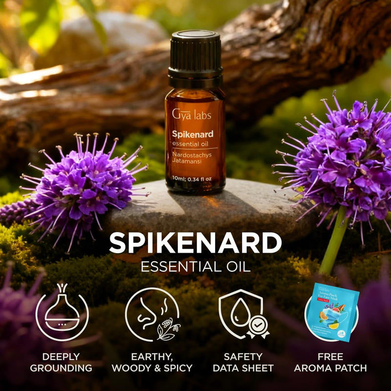 Spikenard Essential Oil 0.34 Fl Oz