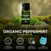 Organic Peppermint Essential Oil 0.34 Fl Oz