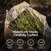 Organic Rosemary Essential Oil 0.34 Fl Oz