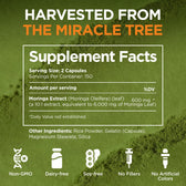 Moringa Capsules - 300 Capsules