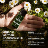 Organic German Chamomile Essential Oil 0.34 Fl Oz