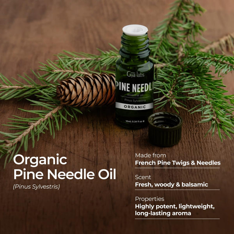Organic Pine Needle Essential Oil 0.34 Fl Oz