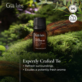 Purify Essential Oil Blend 0.34 Fl Oz