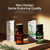 Organic Rosemary Essential Oil 0.34 Fl Oz