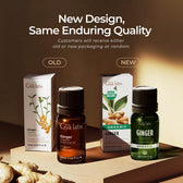 Organic Ginger Essential Oil 0.34 Fl Oz
