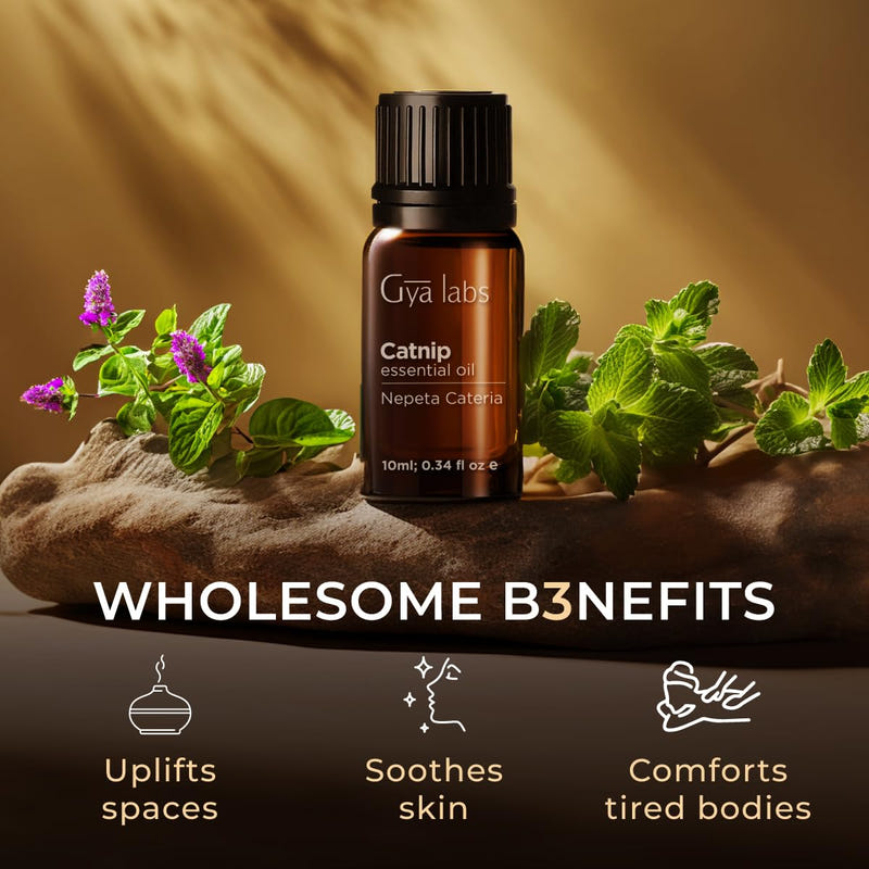 Catnip Essential Oil 0.34 Fl Oz