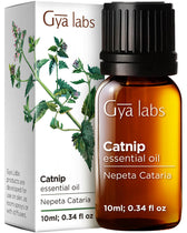 Catnip Essential Oil 0.34 Fl Oz